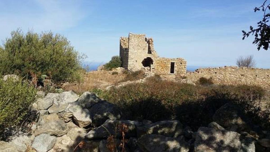 Casa Prescilia Daire Lumio  Oda fotoğraf