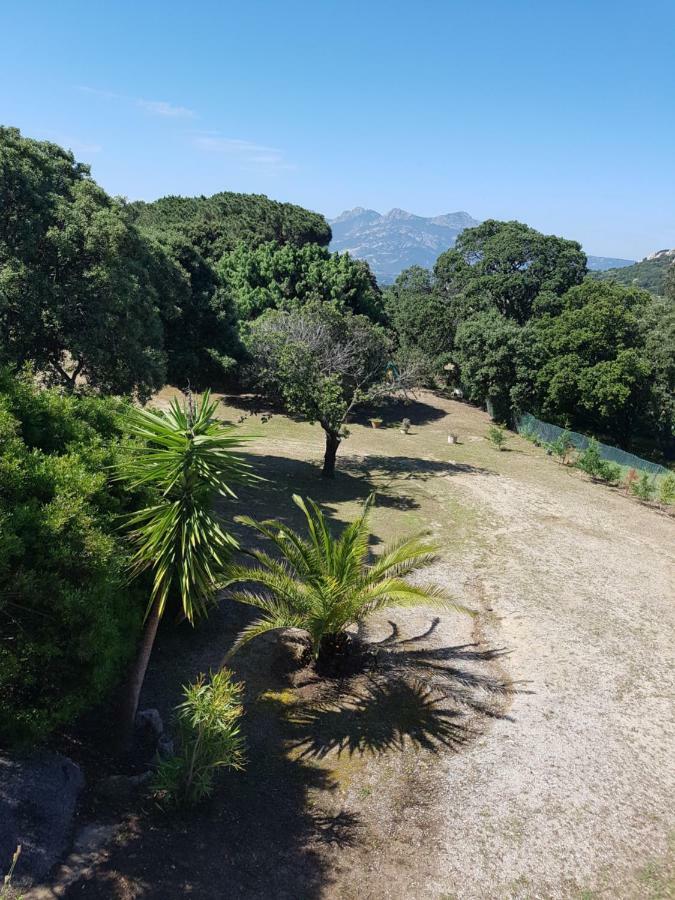 Casa Prescilia Daire Lumio  Dış mekan fotoğraf